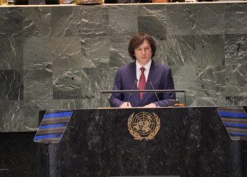 Kobakhidze: NGOs and opposition push to punish Georgians