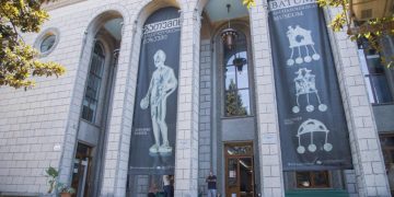 Batumi Archaeological Museum Closed for Repairs amidst Ongoing Concerns