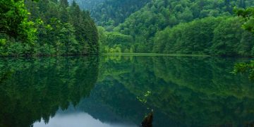 Green goals and economic gains: shedding light on Georgia’s energy and climate strategy