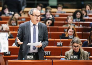 CoE Congress: Georgia should return to the path of democratic consolidation, recommit to democratic principles