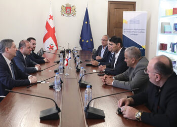 The owners of Bikurei Sadeh meeting with the Georgian Agrarian Affairs Committee