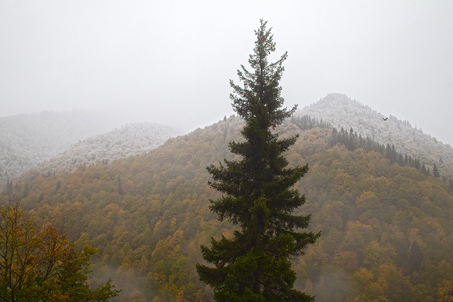 Svaneti welcomes winter. Photo by the author