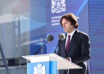 Kobakhidze on ambitious plans for education, science, culture, and sports