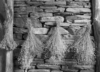 Young, Furious & Frustrated: What Does the Future Hold for Georgian Theater?