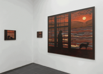 The Sun, the Earth, and the Stories in between: Aesthetic Contemplations at The Why Not Gallery