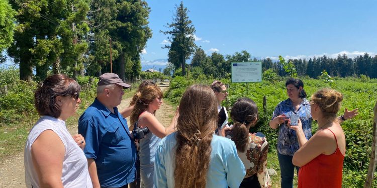 Lotus Community Foundation promotes the Windbreak Initiative in Laituri