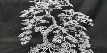 Finding Beauty in Bonsai: An Interview with Levani Gurgenishvili