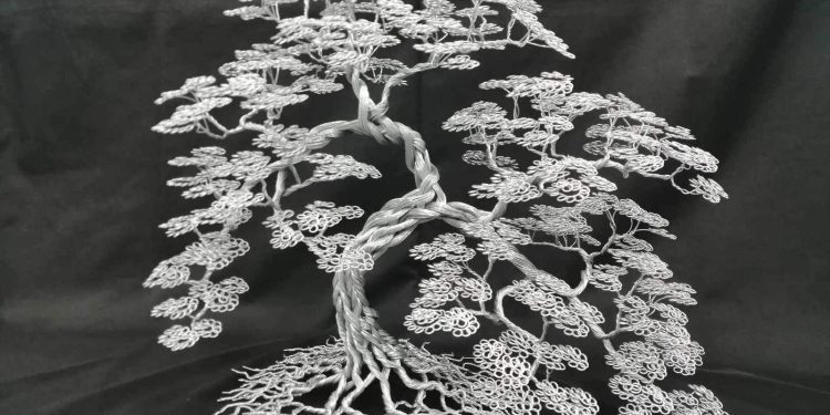 Finding Beauty in Bonsai: An Interview with Levani Gurgenishvili