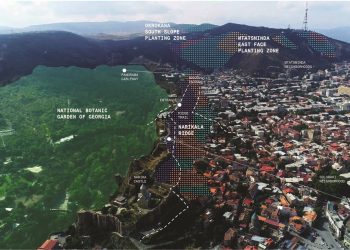 Tbilisi Urban Forest Project Announced As Finalist For Prestigious European Prize