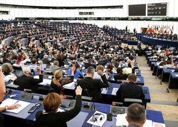 The European Parliament endorses the resolution regarding Georgia