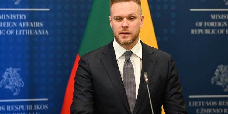 Lithuanian FM calls for independent investigation into Georgia’s elections