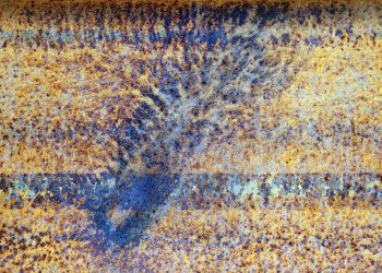 Photos by the author