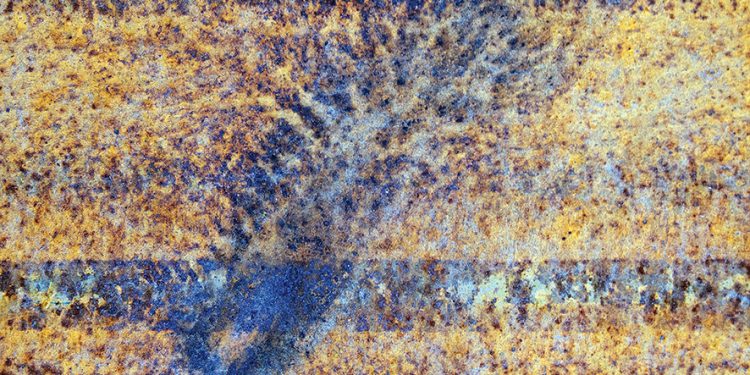 Photos by the author