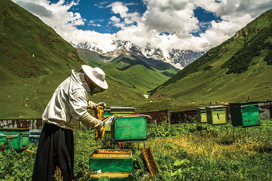 Beekeeper in Ushguli, Svaneti. Source: Georgian Beekeepers Union