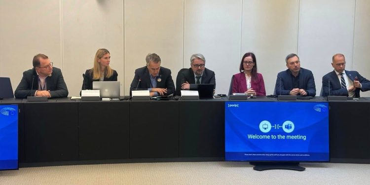 MEPs discuss sanctioning Georgian Dream leaders