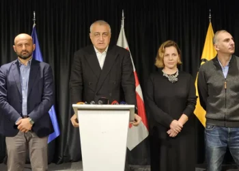 Strong Georgia officially applies to the CEC to cancel the electoral list