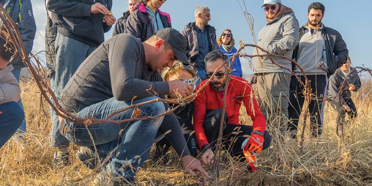 The Phantom Ticket: Art, Resistance, and Solidarity in the Face of Crisis