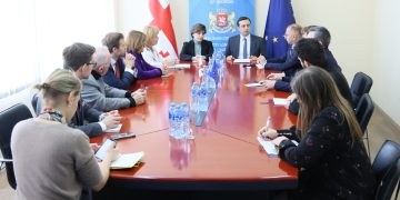 Public Defender holds meeting with MEPs