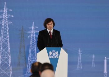 Kobakhidze denies political crisis amid economic challenges