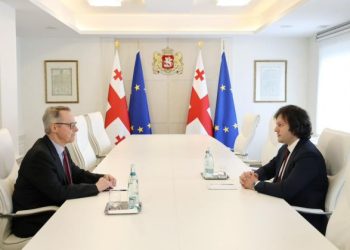 Ambassador: Germany has suspended projects worth 237 million euros with Georgia