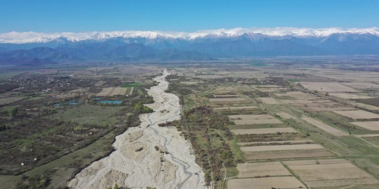 The Phantom Ticket: Art, Resistance, and Solidarity in the Face of Crisis