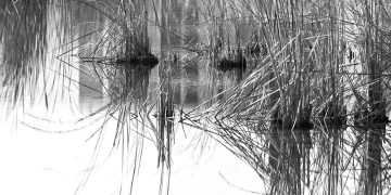 The Power of Protest: Five Films at the 25th Tbilisi Int’l Film Festival Reflect Society’s Struggles