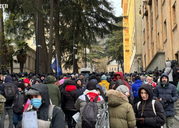 Geogian Dream elects president  amid mass protests