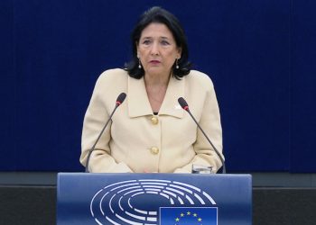 “Georgians will not stop until new elections” — President’s speech to the European Parliament