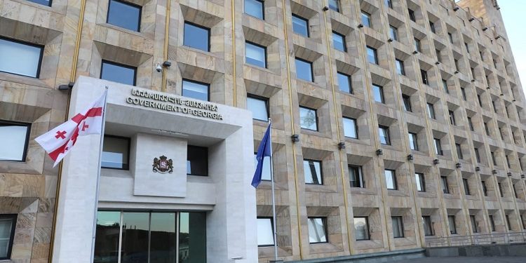 Health Ministry: 40 hospitalized from November 29-30 Rustaveli protests