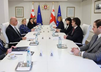 Georgian PM describes COE secretary general’s visit as “strong show of support”