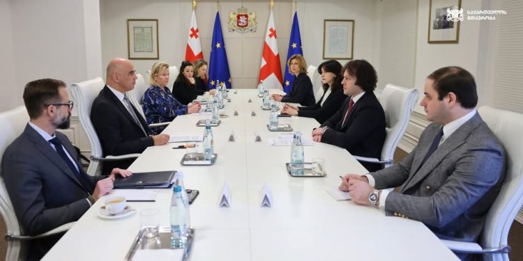 Georgian PM describes COE secretary general’s visit as “strong show of support”