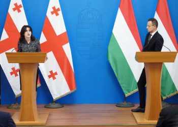Georgian Dream’s FM thanks Hungary for support of Georgia’s sovereignty and democratic values
