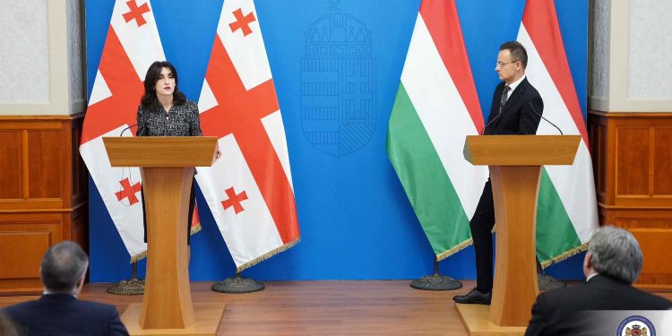 Georgian Dream’s FM thanks Hungary for support of Georgia’s sovereignty and democratic values