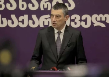 Gakharia to the EU: Please show the brave Georgian youth that you support their struggle