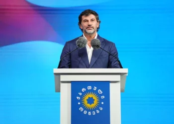 Tbilisi Mayor postpones New Year Tree lighting, blames “radical opposition”