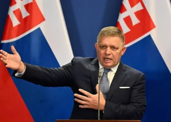 Slovak PM claims Georgian National Legion involved in protests