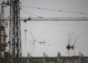 Photo by Tony Hanmer