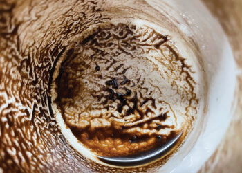 No Fines Yet? The Battle Over Tour Guide Registration in Georgia