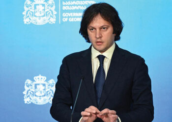 PM Irakli Kobakhidze. Source: france24