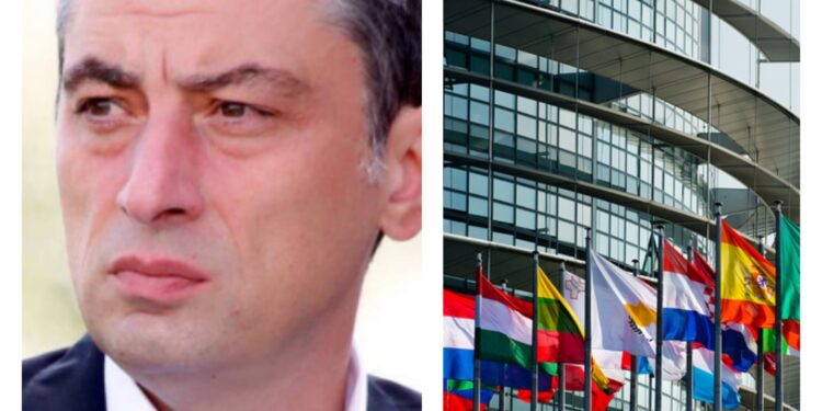 MEP Reactions to attack on Former PM Giorgi Gakharia