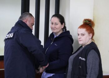 CoE platform for the safety of journalists raises alarm over Mzia Amaglobeli case