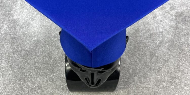 Georgian PM launches commission to overhaul higher education system within 4 years