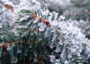 Snowfall to stop countrywide today, sharp increase in frosts expected