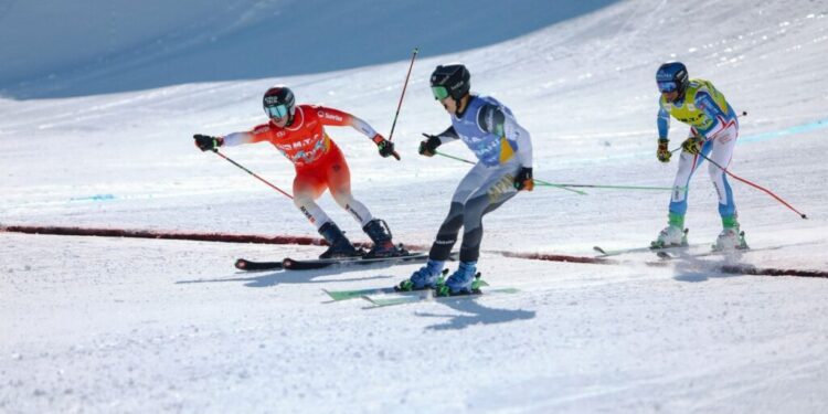 Gudauri to host Ski Cross World Cup stages on February 28 and March 1
