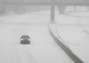 Levan Zhorzholiani: Guria storm recovery speeds up