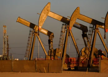 Georgia’s oil production rises in 2024, gas extraction declines