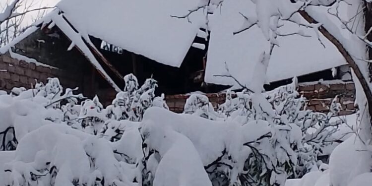 Residents of Guria and Adjara affected by snowfall appeal to gov’t for help