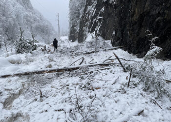 How to Launder Culture: The Surrealist Boom in Georgia’s Art Imports