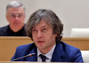 Kobakhidze questions German Ambassador’s role