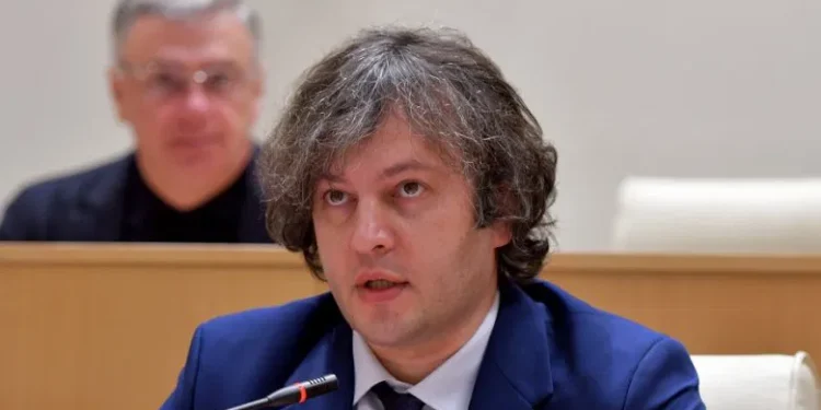 Kobakhidze questions German Ambassador’s role